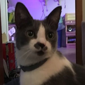 Meet your Posher, Mary